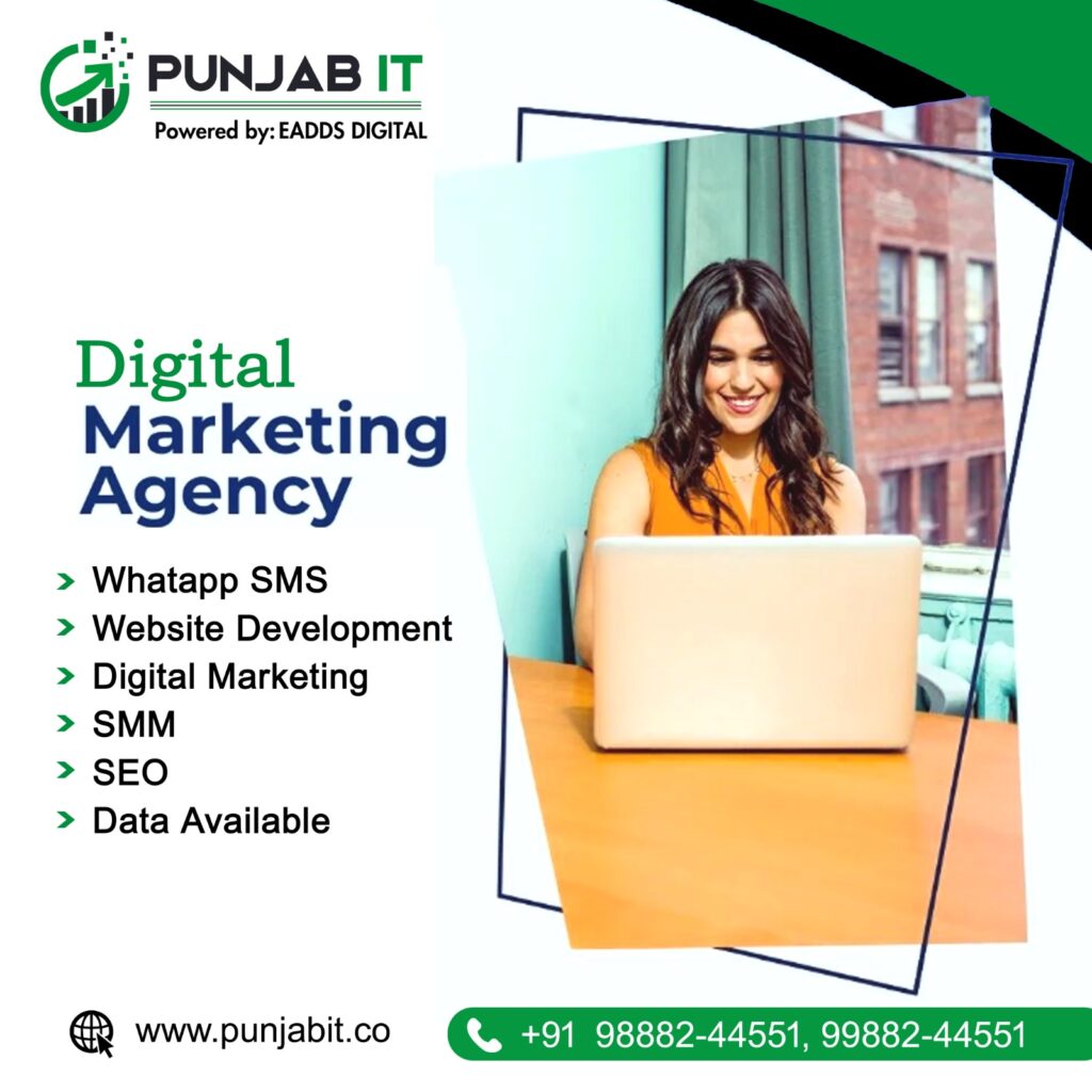 digital marketing company, digital marketing agency, digital marketing services, ludhiana, punjab